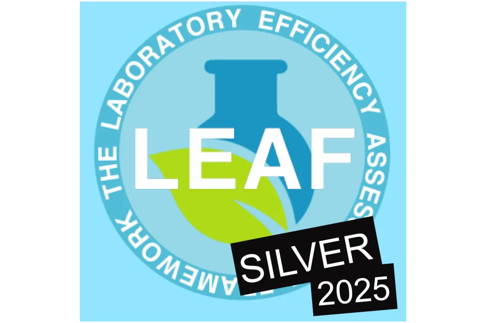leafSilver_resize