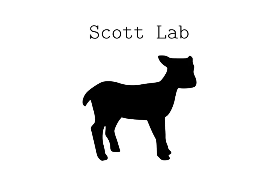 scottLab_resize