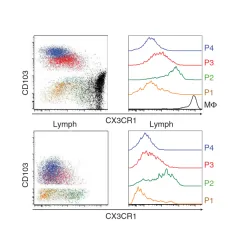 CerovicEtAl_2013