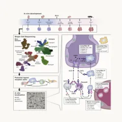 ScottEtAl_2018_tissue